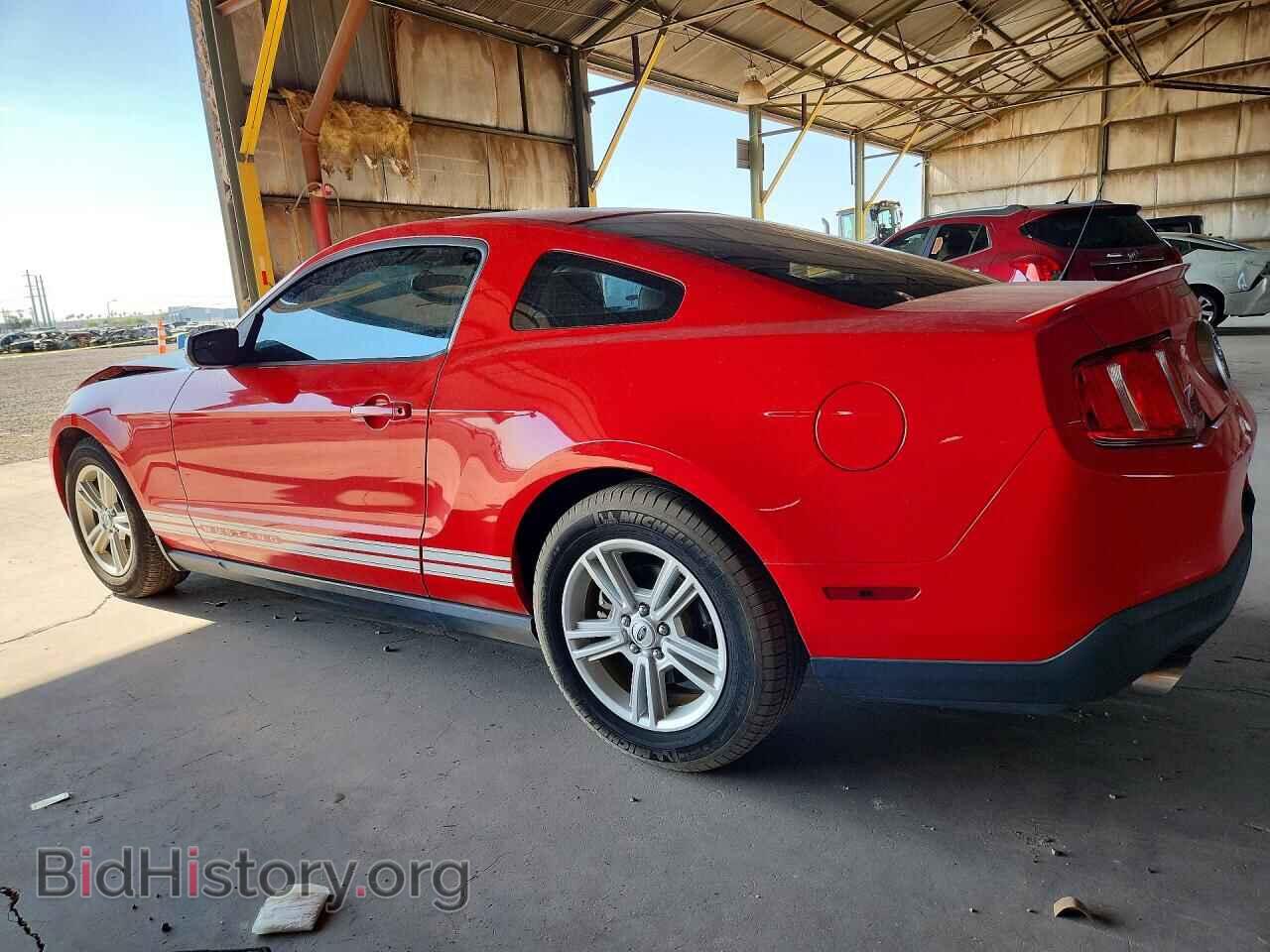 2011 FORD MUSTANG - VIN: 1ZVBP8AM6B5163260 - Фото 2