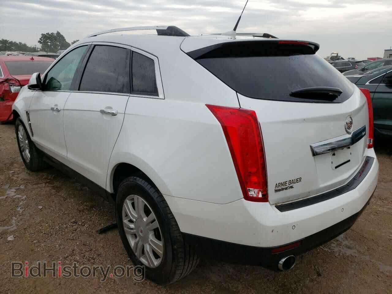 2011 CADILLAC SRX - VIN: 3GYFNAEY7BS630717 - Фото 2