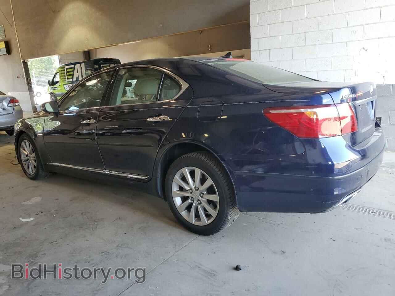 2010 LEXUS LS460 - VIN: JTHCL5EF8A5008686 - Фото 2