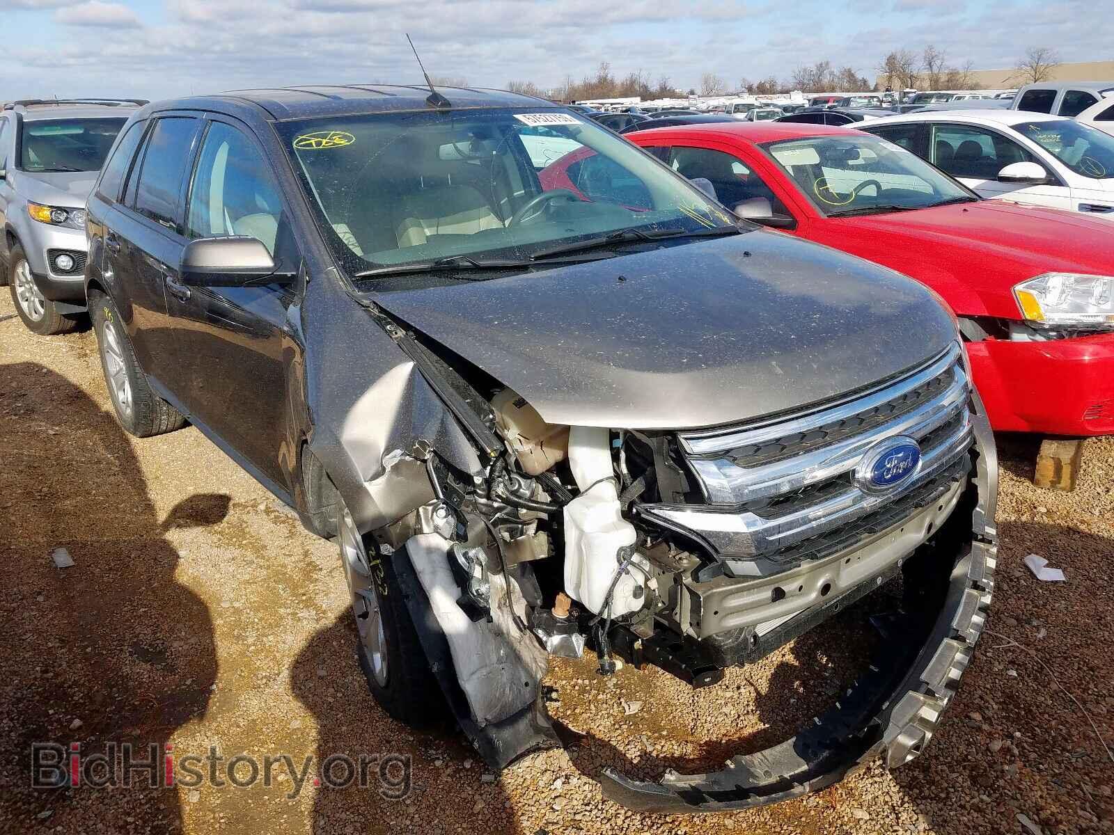 Фотография 2FMDK4JC5EBB31437 - FORD EDGE 2014