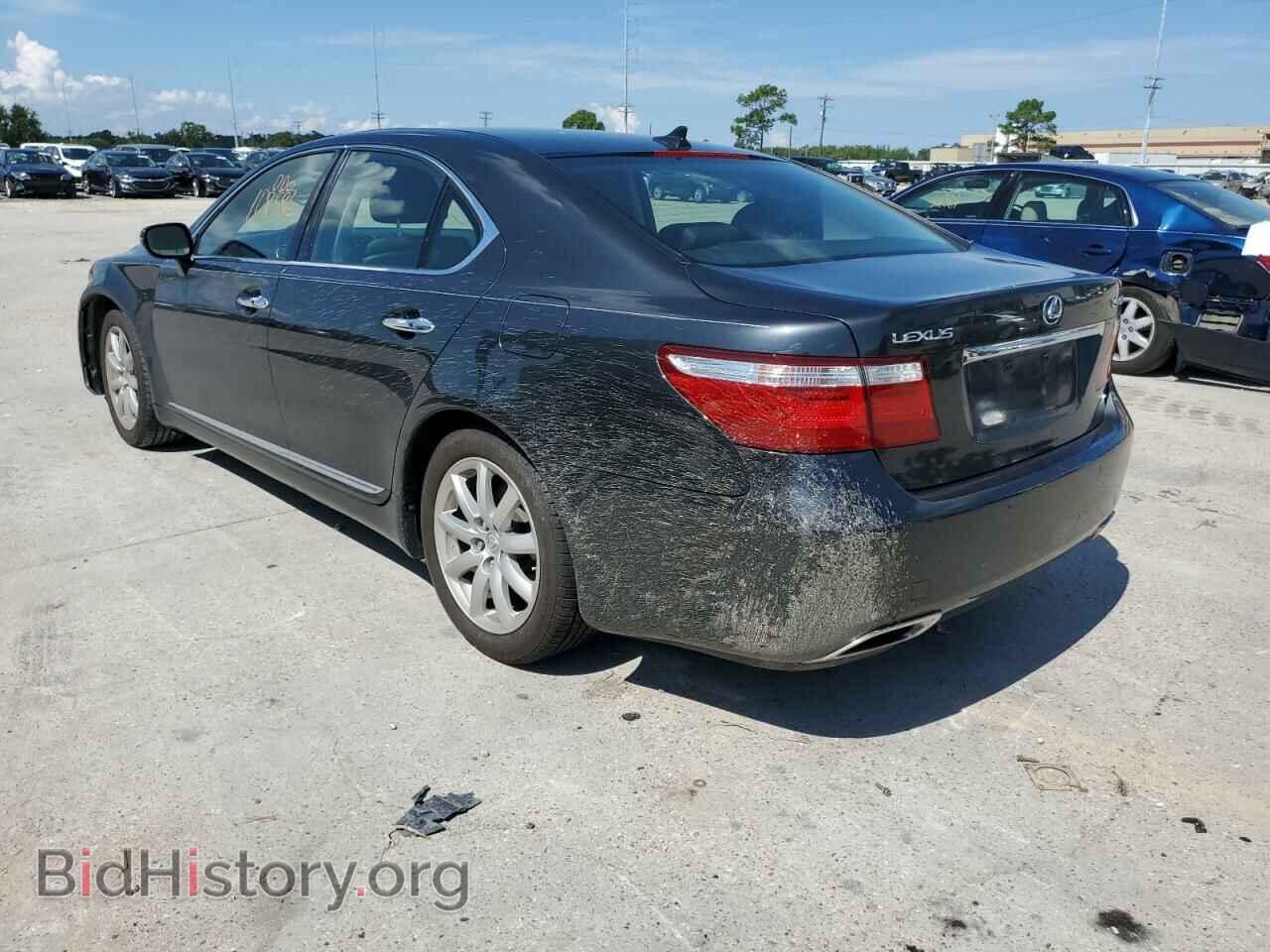 2009 LEXUS LS460 - VIN: JTHBL46F095084676 - Фото 3