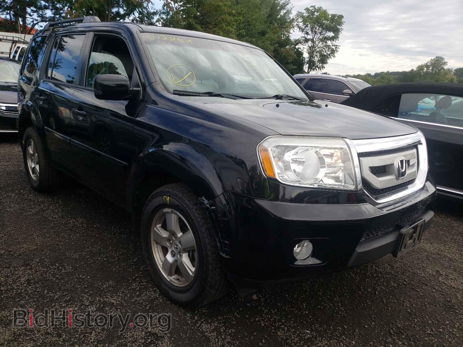 Фотография 5FNYF4H54BB105010 - HONDA PILOT 2011