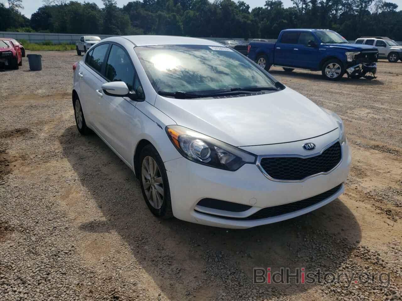 Photo KNAFX4A69G5549335 - KIA FORTE 2016