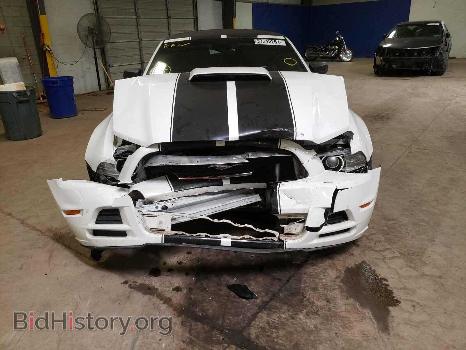 2013 FORD MUSTANG - VIN: 1ZVBP8EM7D5239484 - Фото 9