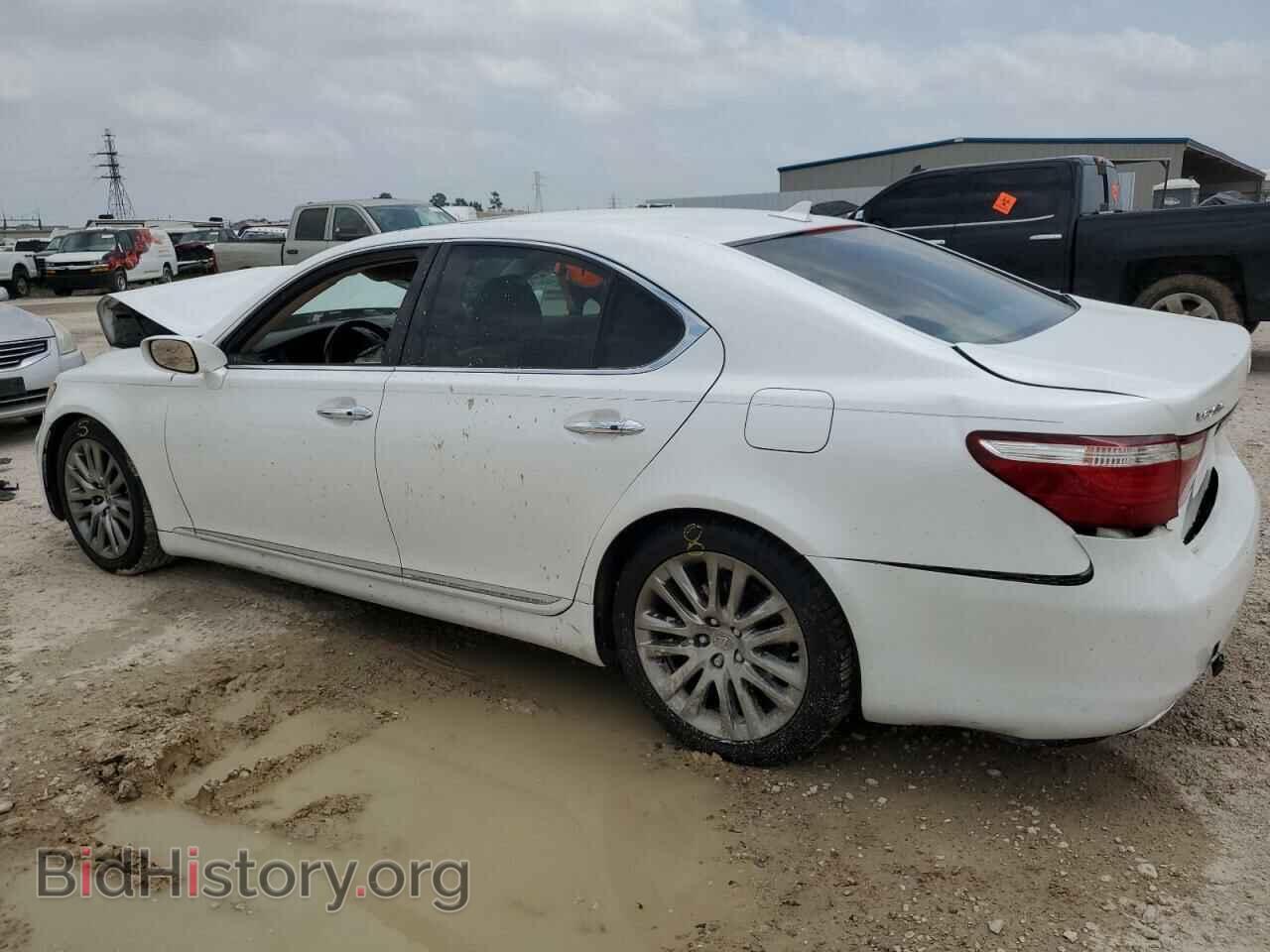 2009 LEXUS LS460 - VIN: JTHBL46F195085433 - Фото 2