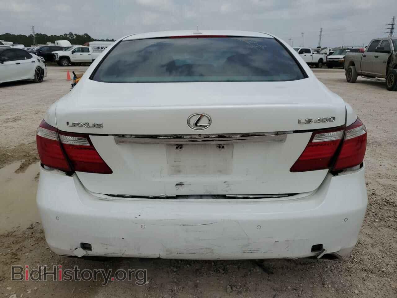 2009 LEXUS LS460 - VIN: JTHBL46F195085433 - Фото 6