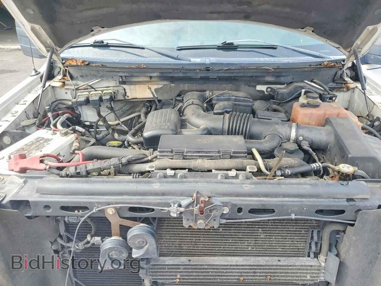 2010 FORD F150 - VIN: 1FTFW1EV7AFD83713 - Фото 11