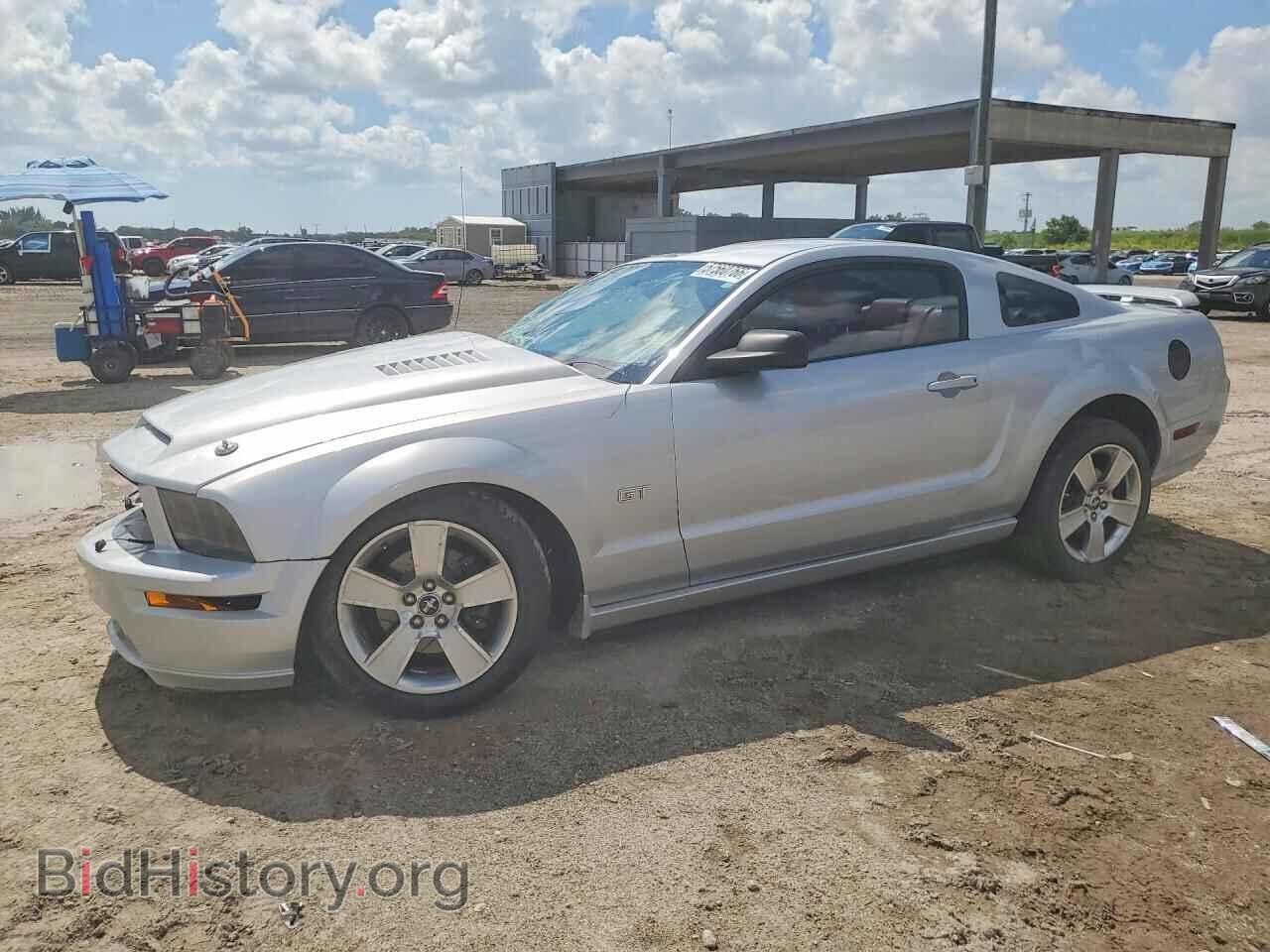 Фотография 1ZVHT82H565131705 - FORD MUSTANG 2006