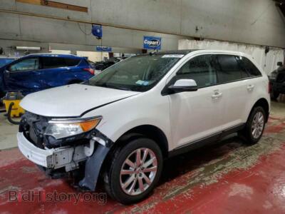 2013 Ford EDGE SEL, белый — VIN 2FMDK4JC0DBA40137, Copart