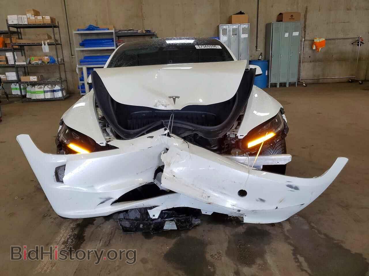 2024 TESLA MODEL 3 - VIN: 5YJ3E1EB9RF811941 - Фото 5