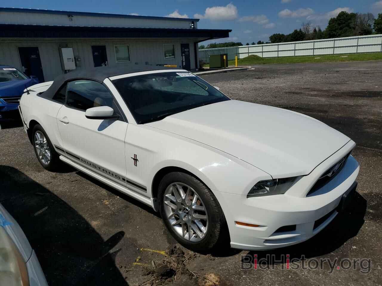 Photo 1ZVBP8EM8D5232334 - FORD MUSTANG 2013