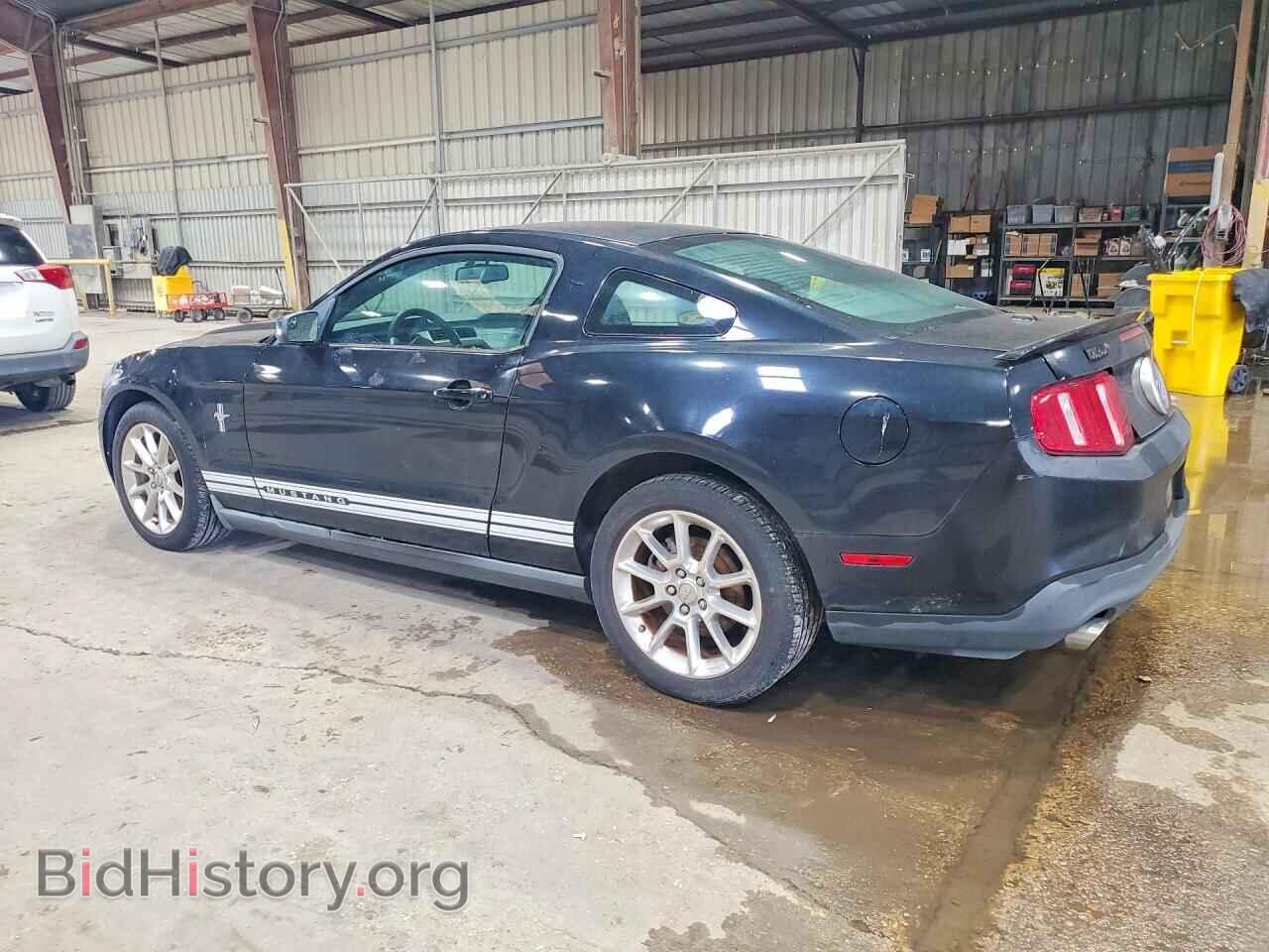 2011 FORD MUSTANG - VIN: 1ZVBP8AM3B5124139 - Фото 2