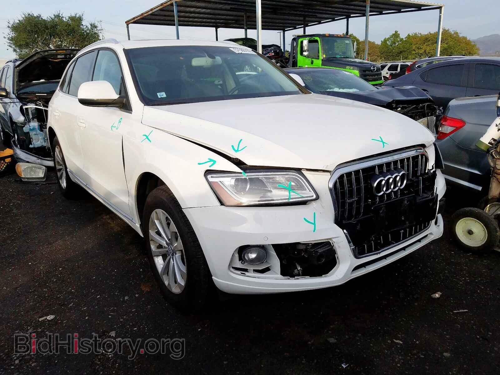 Photo WA1LFAFP8DA023784 - AUDI Q5 2013