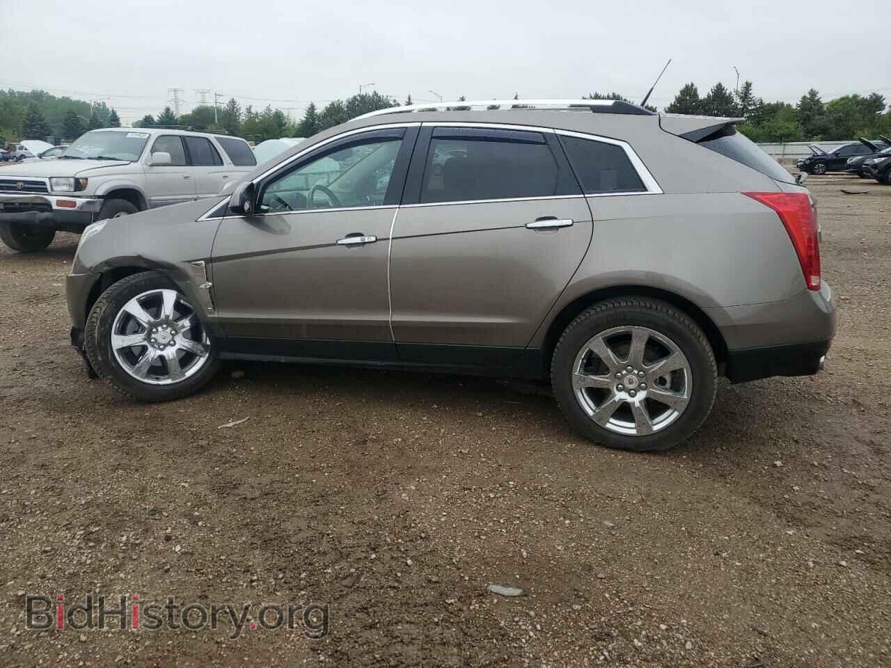 2012 CADILLAC SRX - VIN: 3GYFNBE35CS536105 - Фото 2