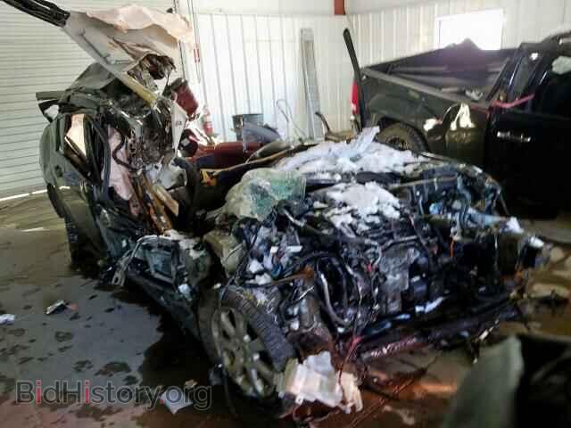 Photo 1N4BA41E48C824834 - NISSAN MAXIMA 2008