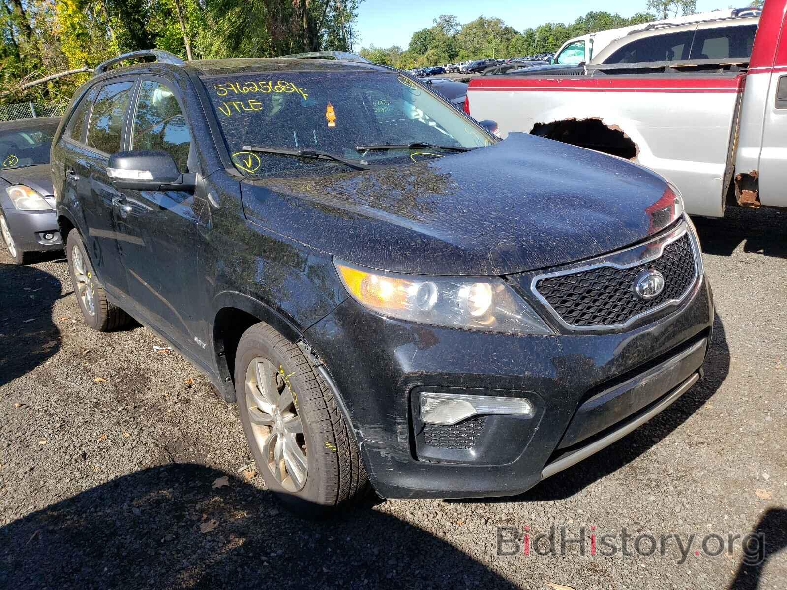 Photo 5XYKWDA26DG394635 - KIA SORENTO 2013