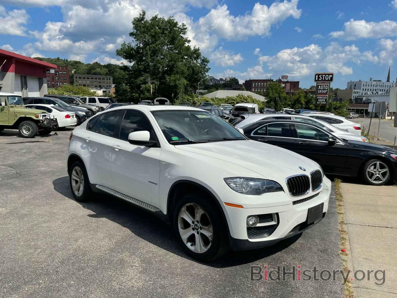 Photo 5UXFG2C59E0C43016 - BMW X6 2014