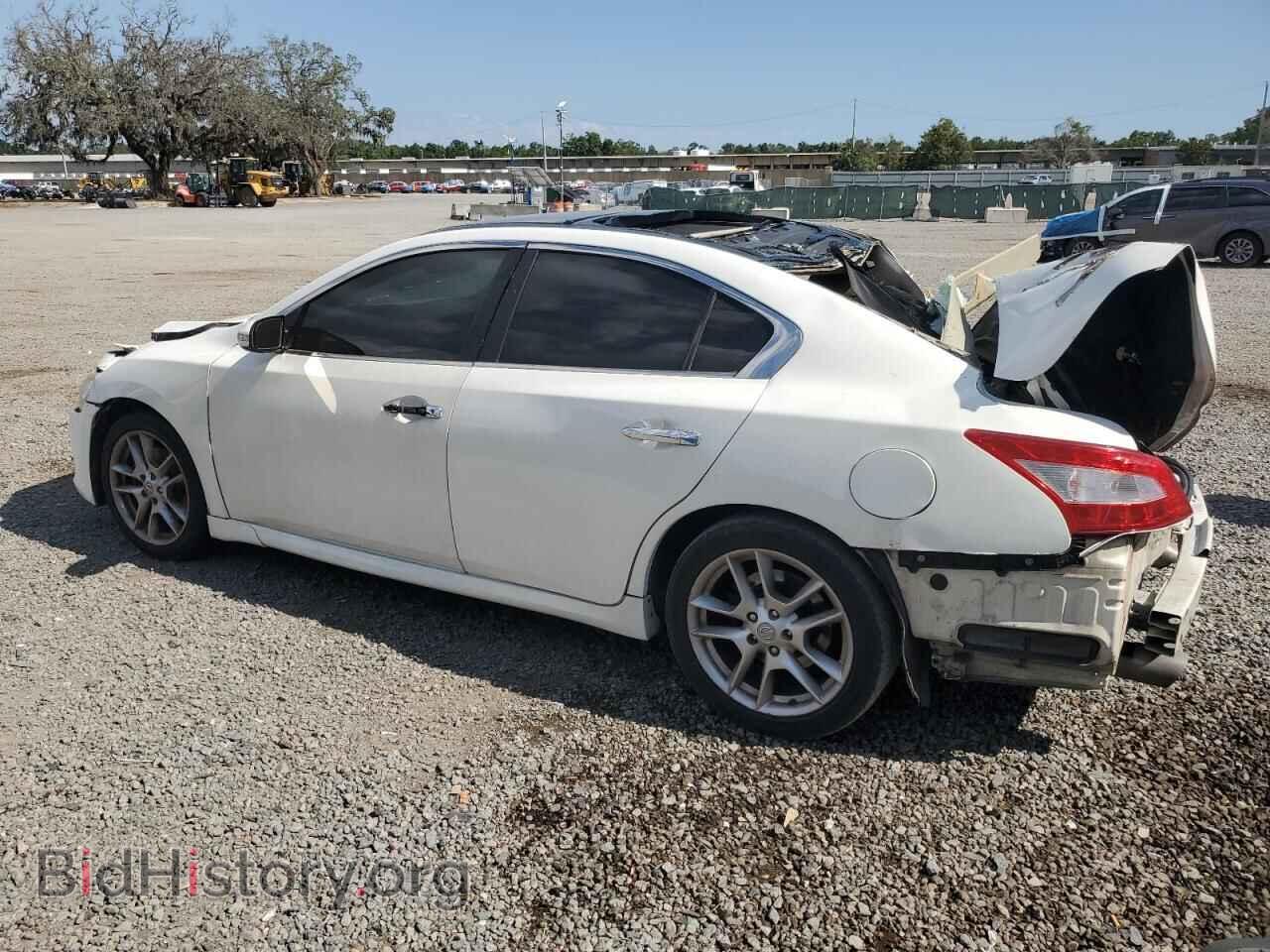 2009 NISSAN MAXIMA - VIN: 1N4AA51E19C805368 - Фото 2