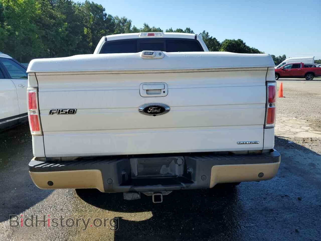2013 FORD F-150 - VIN: 1FTFW1CF6DFD76350 - Фото 6