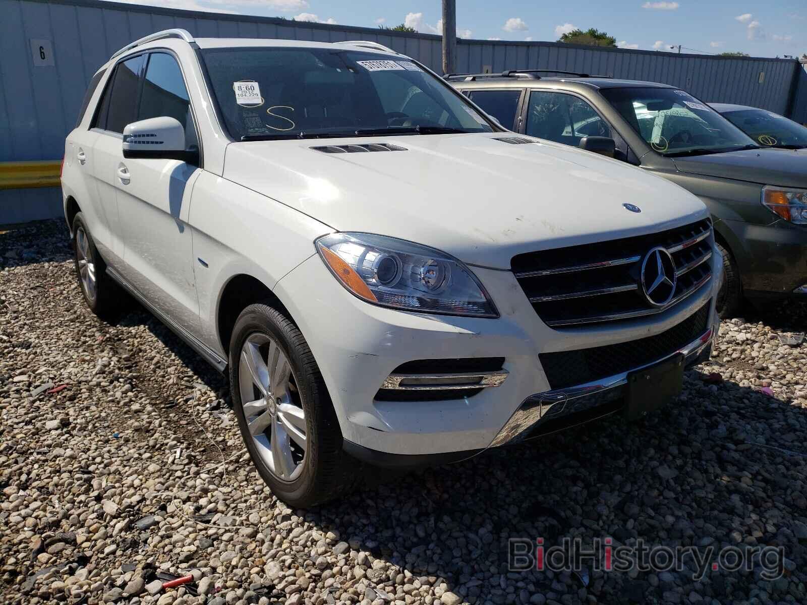 Photo 4JGDA5HB3CA002384 - MERCEDES-BENZ M-CLASS 2012