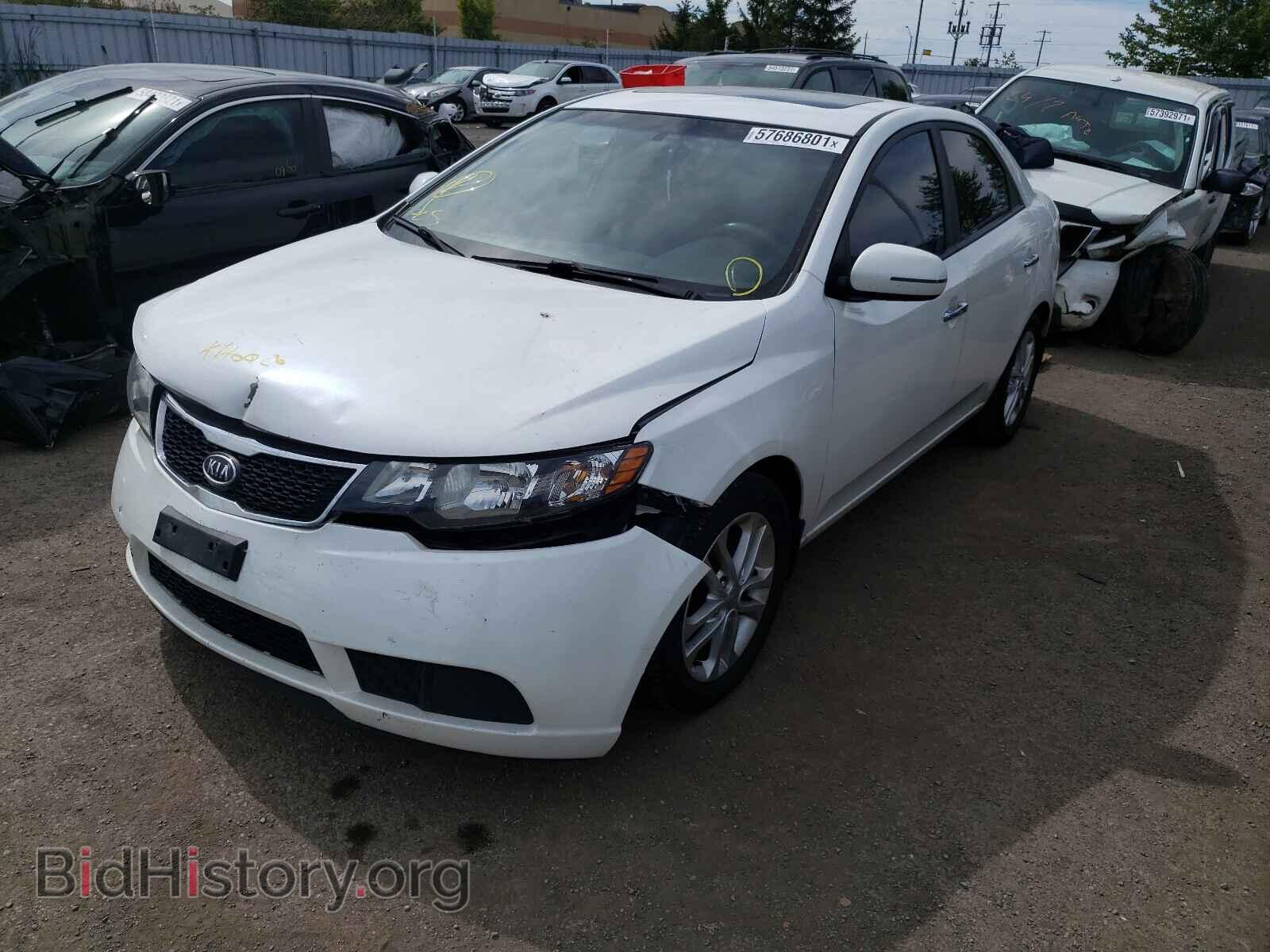 2012 KIA FORTE - VIN: KNAFU4A24C5530773 - Фото 2
