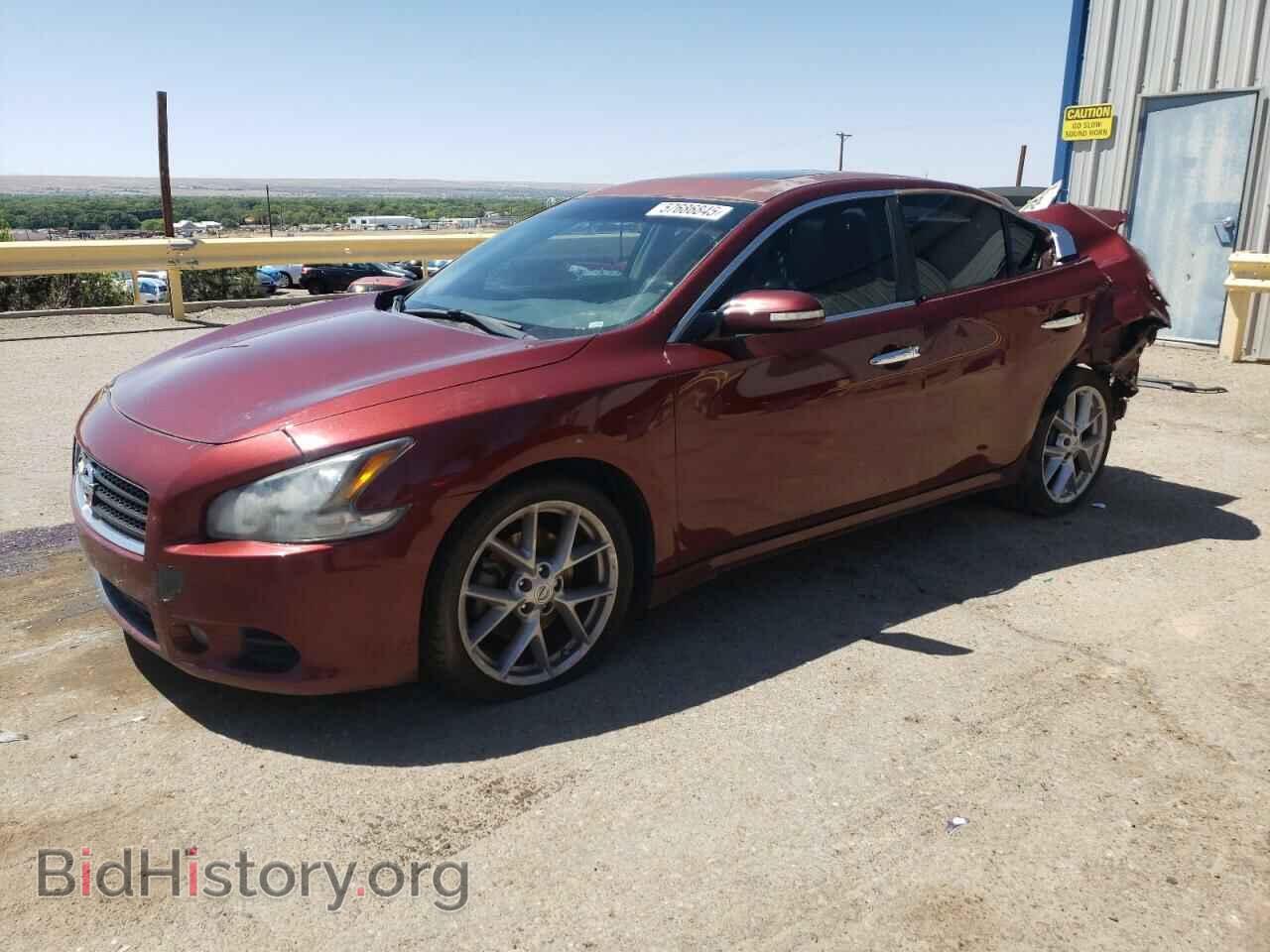 Photo 1N4AA5AP5BC805879 - NISSAN MAXIMA 2011