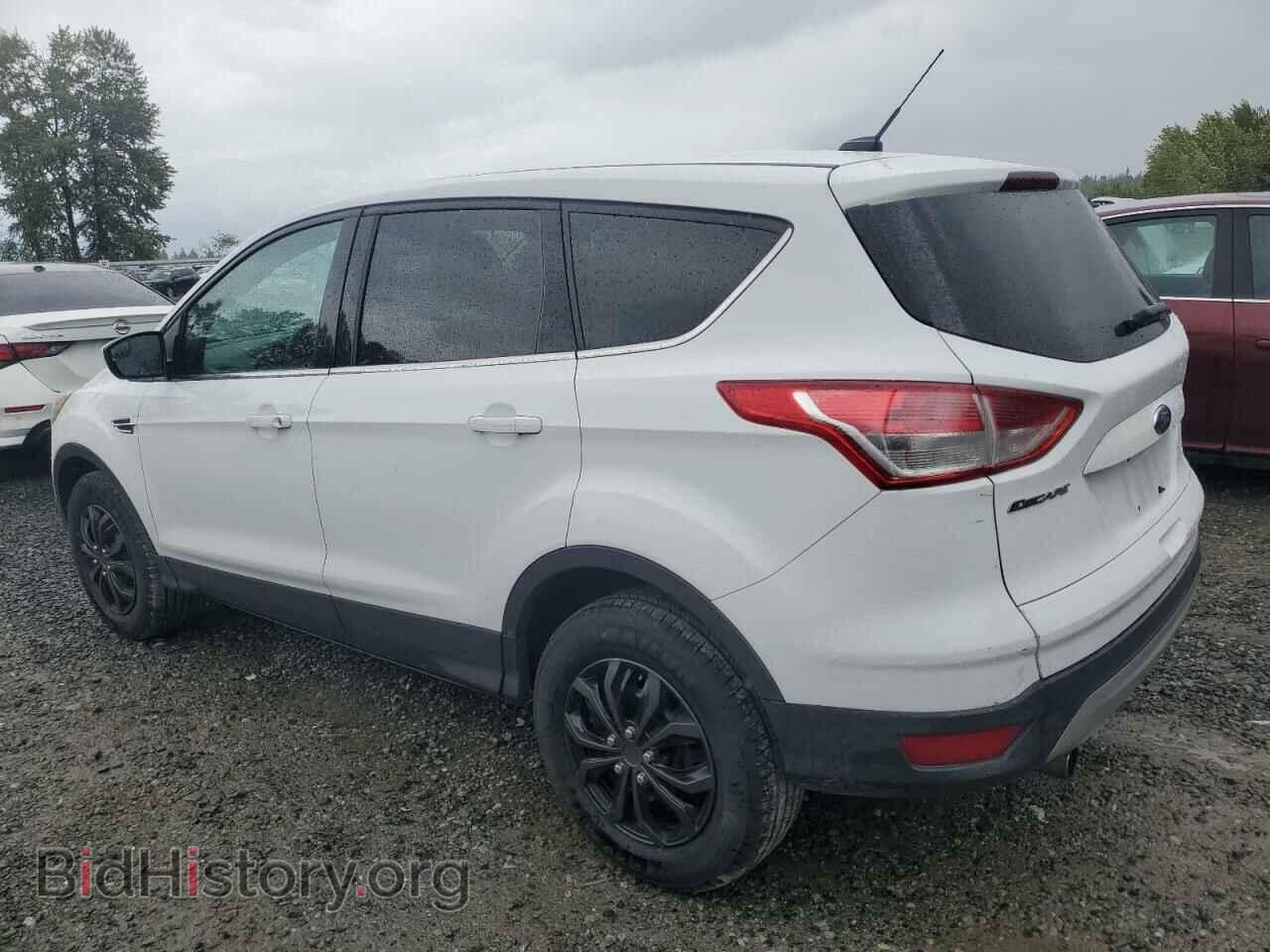 2013 FORD ESCAPE - VIN: 1FMCU9GX0DUD04688 - Фото 2