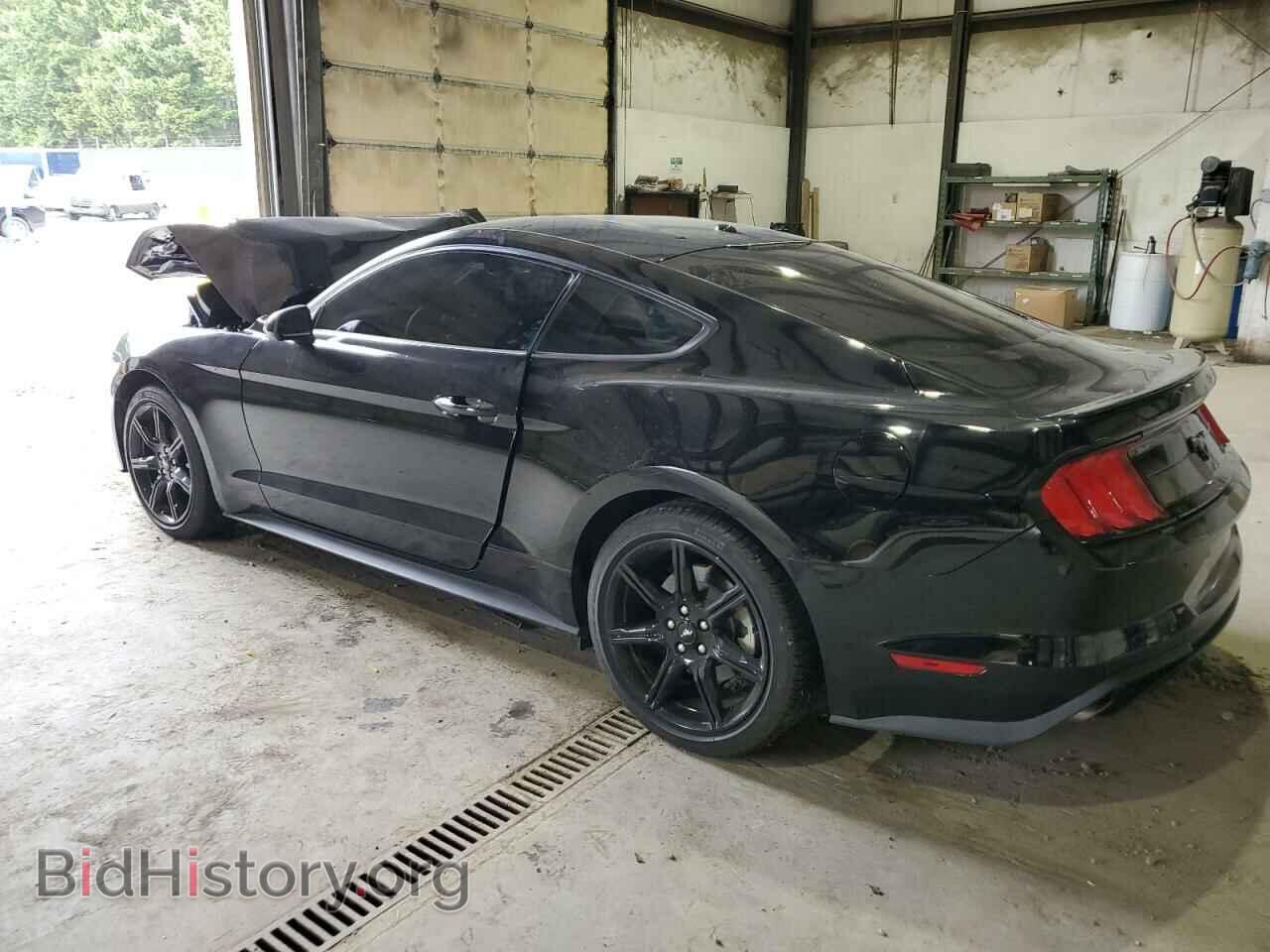 2019 FORD ALL Models - VIN: 1FA6P8THXK5186244 - Фото 2