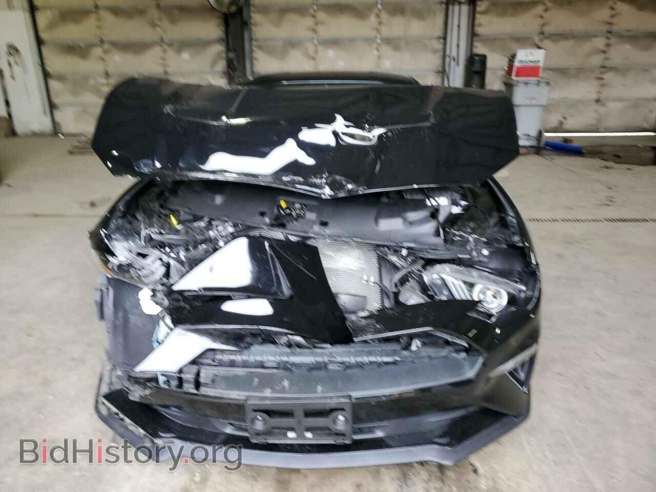 2019 FORD ALL Models - VIN: 1FA6P8THXK5186244 - Фото 5