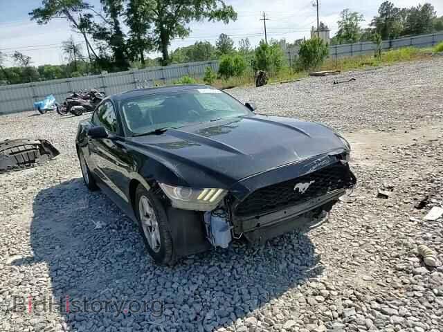 2017 FORD ALL Models - VIN: 1FA6P8AM2H5353320 - Photo 14