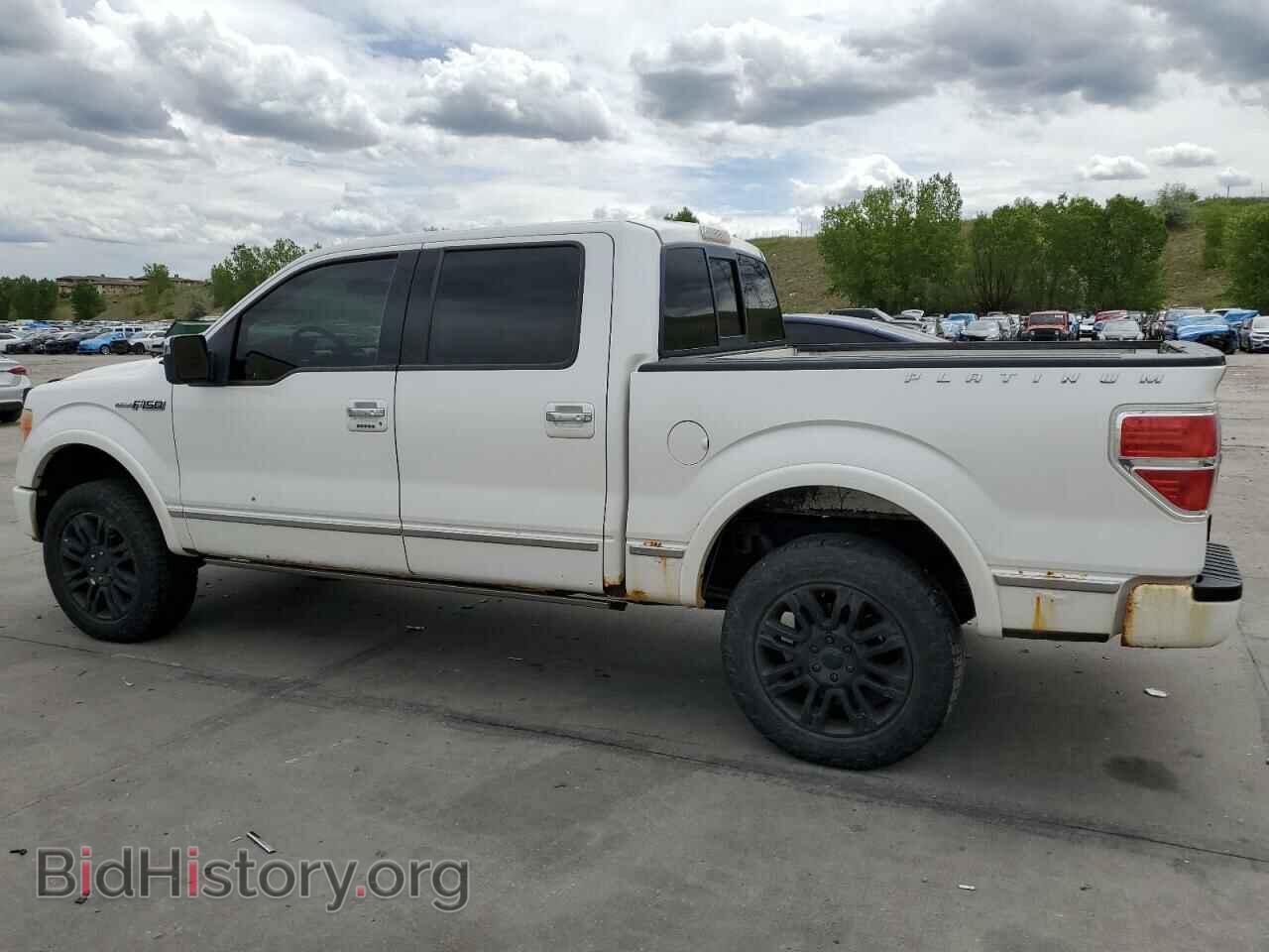 2010 FORD F-150 - VIN: 1FTFW1EV1AFB63225 - Фото 2