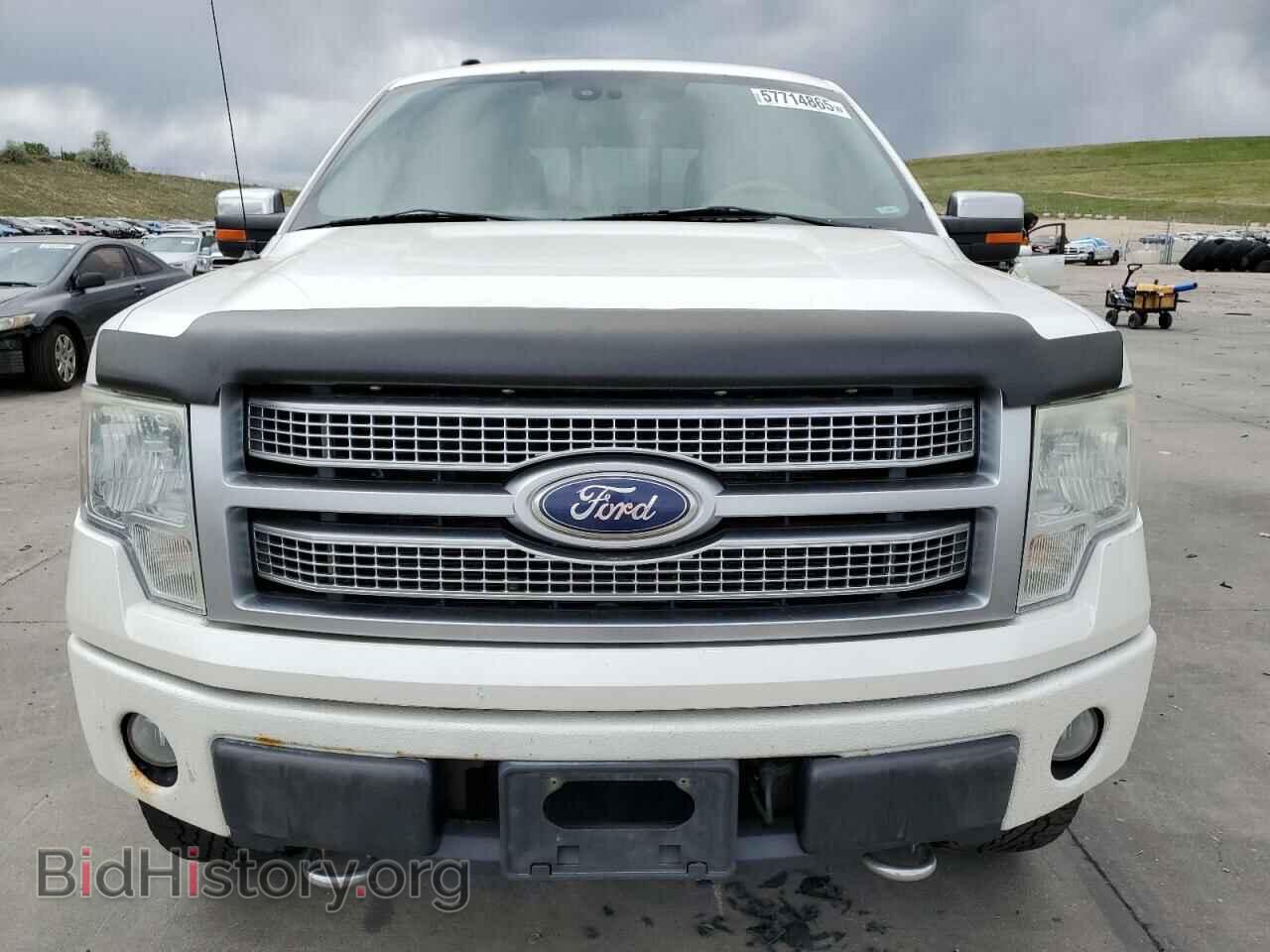 2010 FORD F-150 - VIN: 1FTFW1EV1AFB63225 - Фото 5