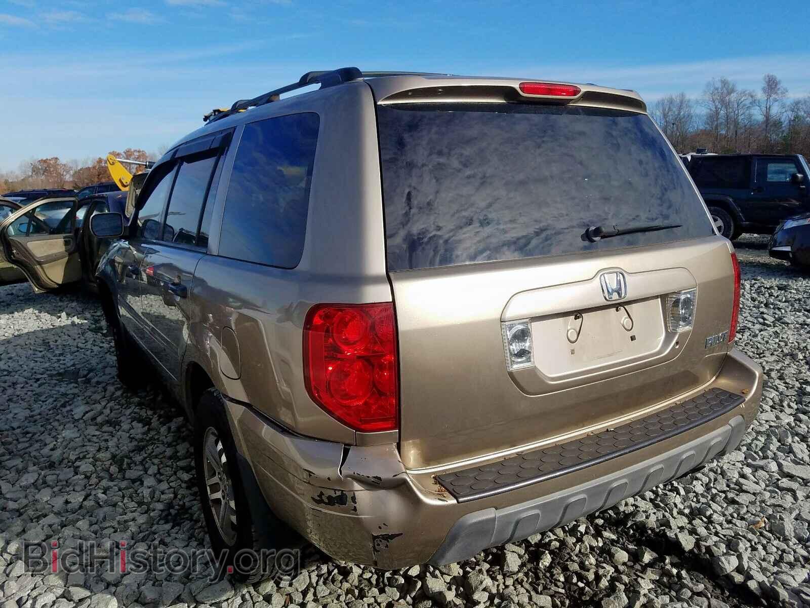 2005 HONDA PILOT - VIN: 5FNYF18515B055699 - Фото 3