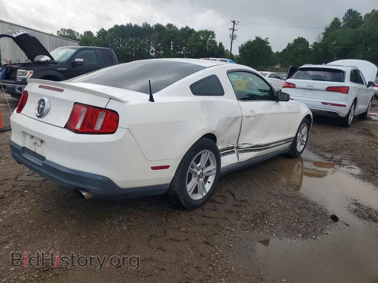 2010 FORD MUSTANG - VIN: 1ZVBP8ANXA5131239 - Фото 3