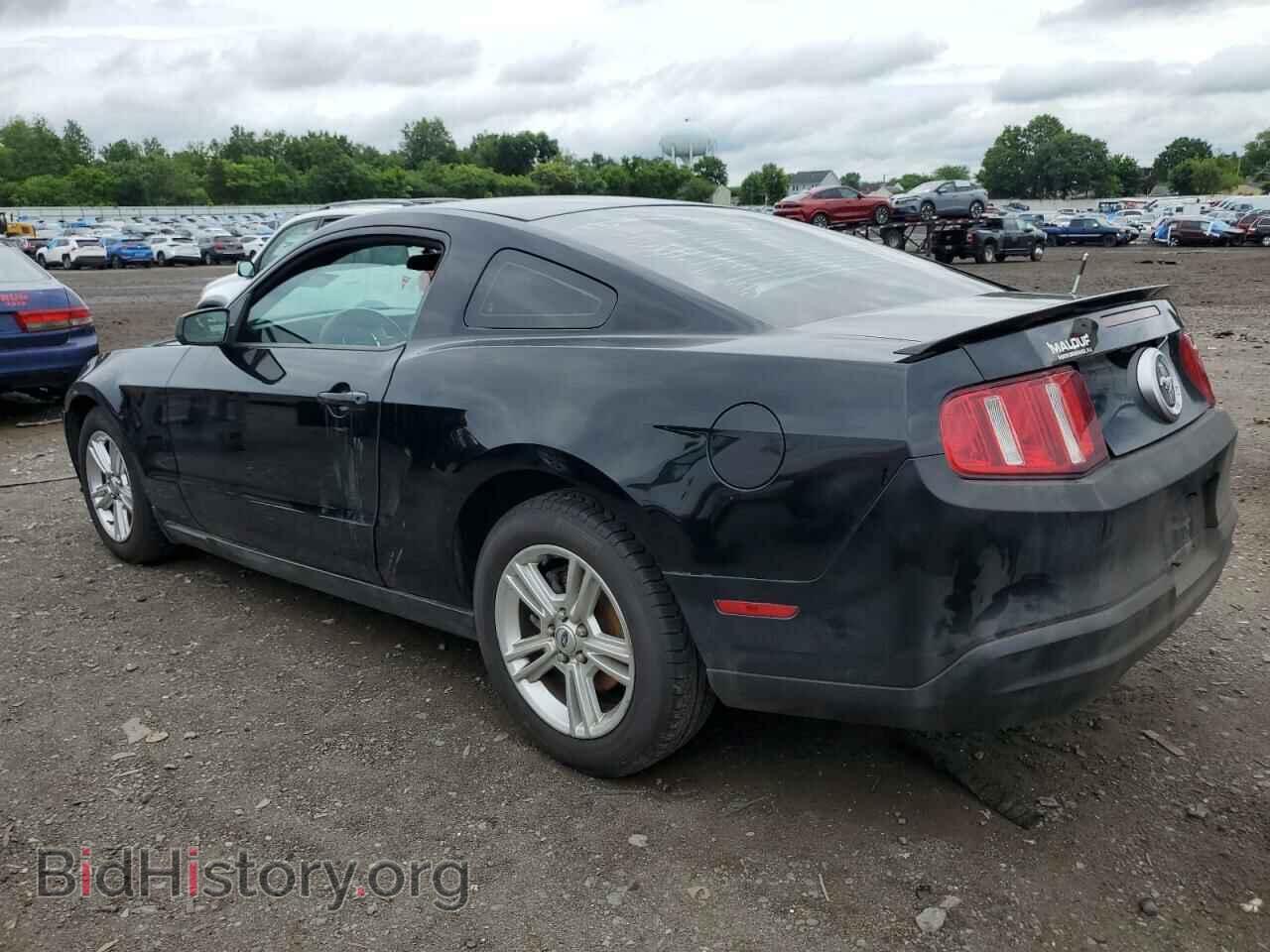 2010 FORD ALL Models - VIN: 1ZVBP8AN9A5127926 - Фото 2