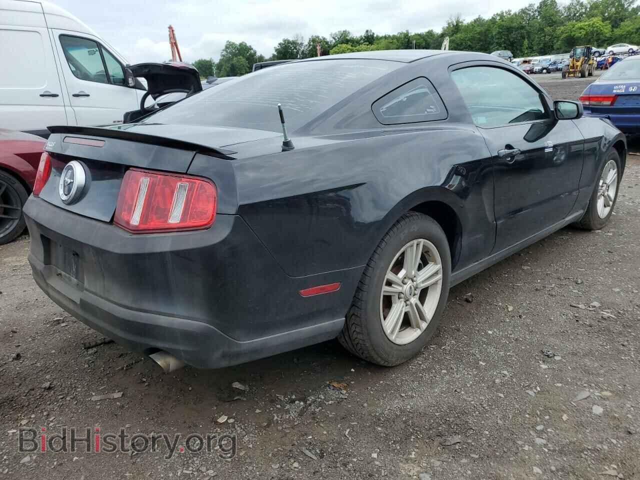 2010 FORD ALL Models - VIN: 1ZVBP8AN9A5127926 - Фото 3