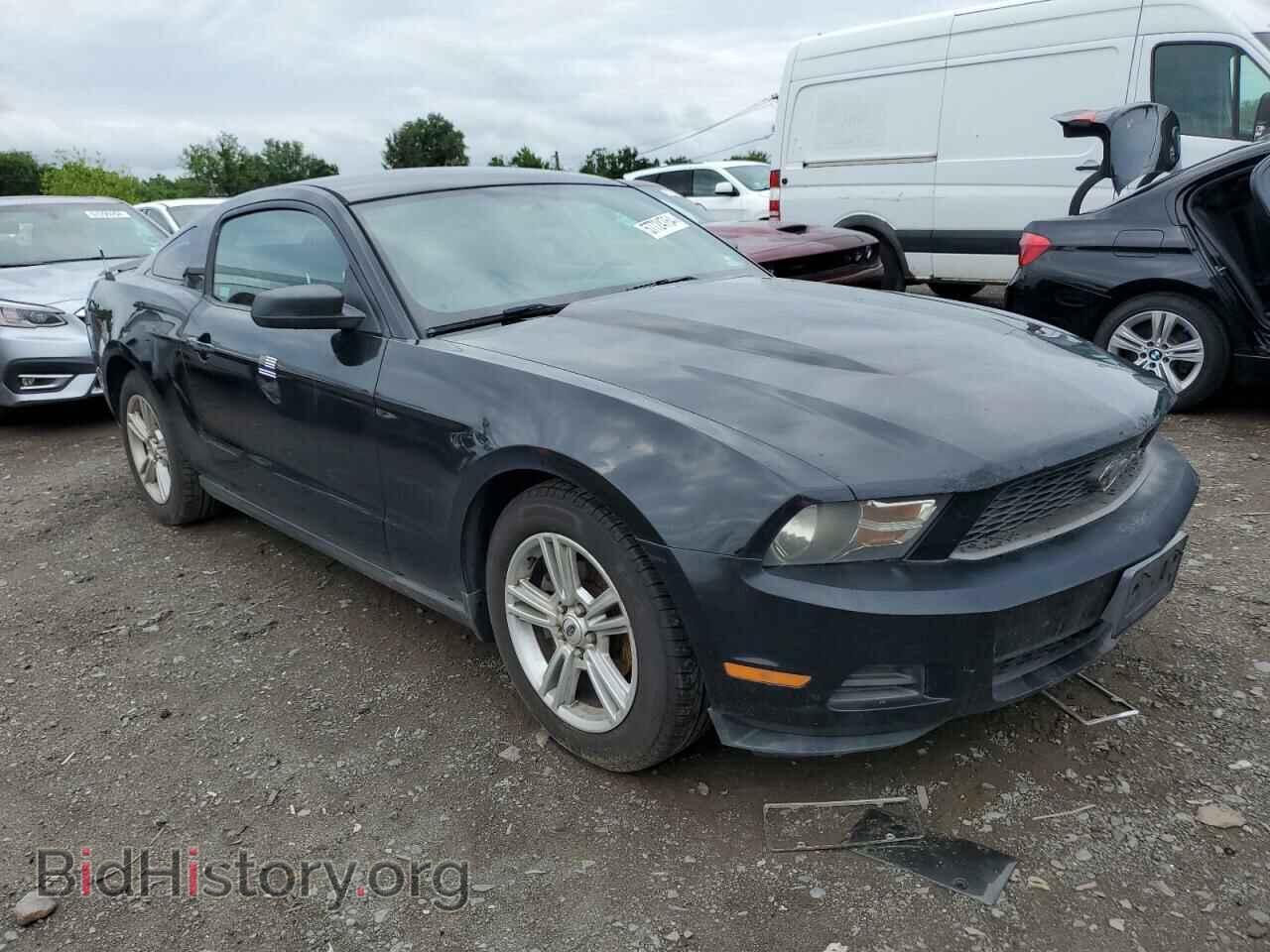2010 FORD ALL Models - VIN: 1ZVBP8AN9A5127926 - Фото 4