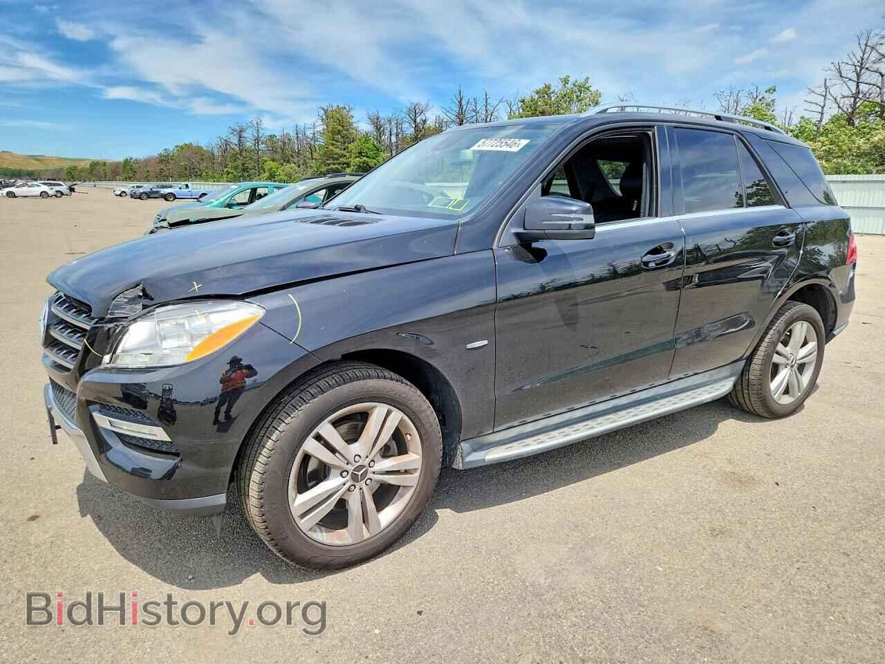 Photo 4JGDA5HB9CA009839 - MERCEDES-BENZ M-CLASS 2012