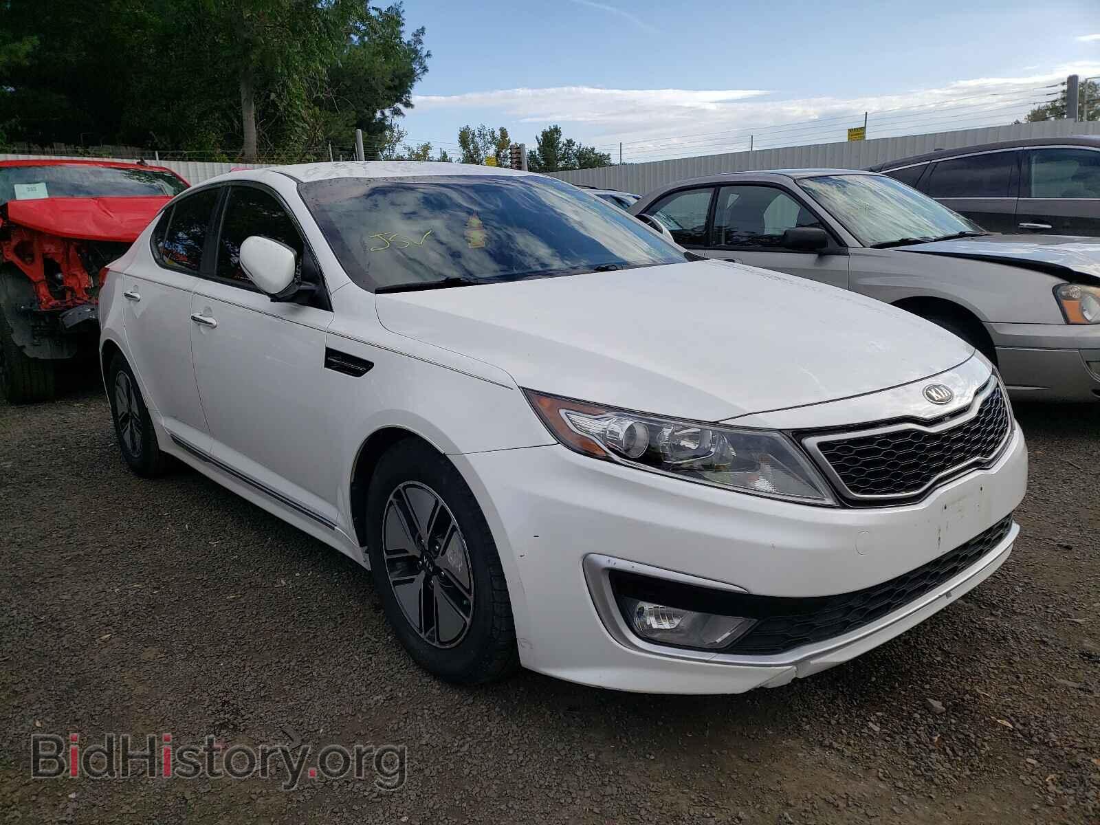 Фотография KNAGM4AD3C5036202 - KIA OPTIMA 2012