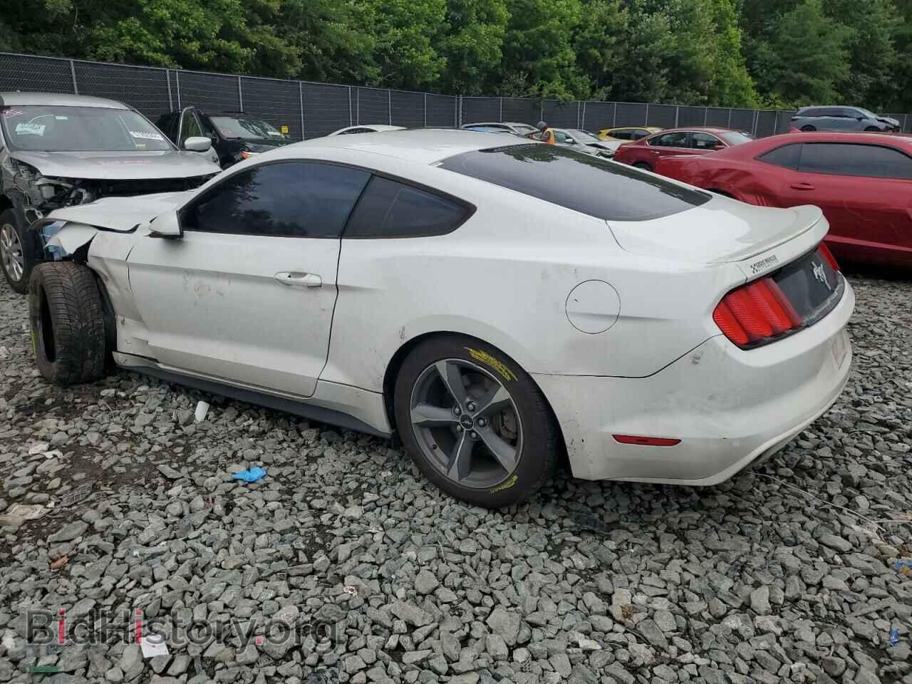 2015 FORD ALL Models - VIN: 1FA6P8AM3F5306858 - Фото 2