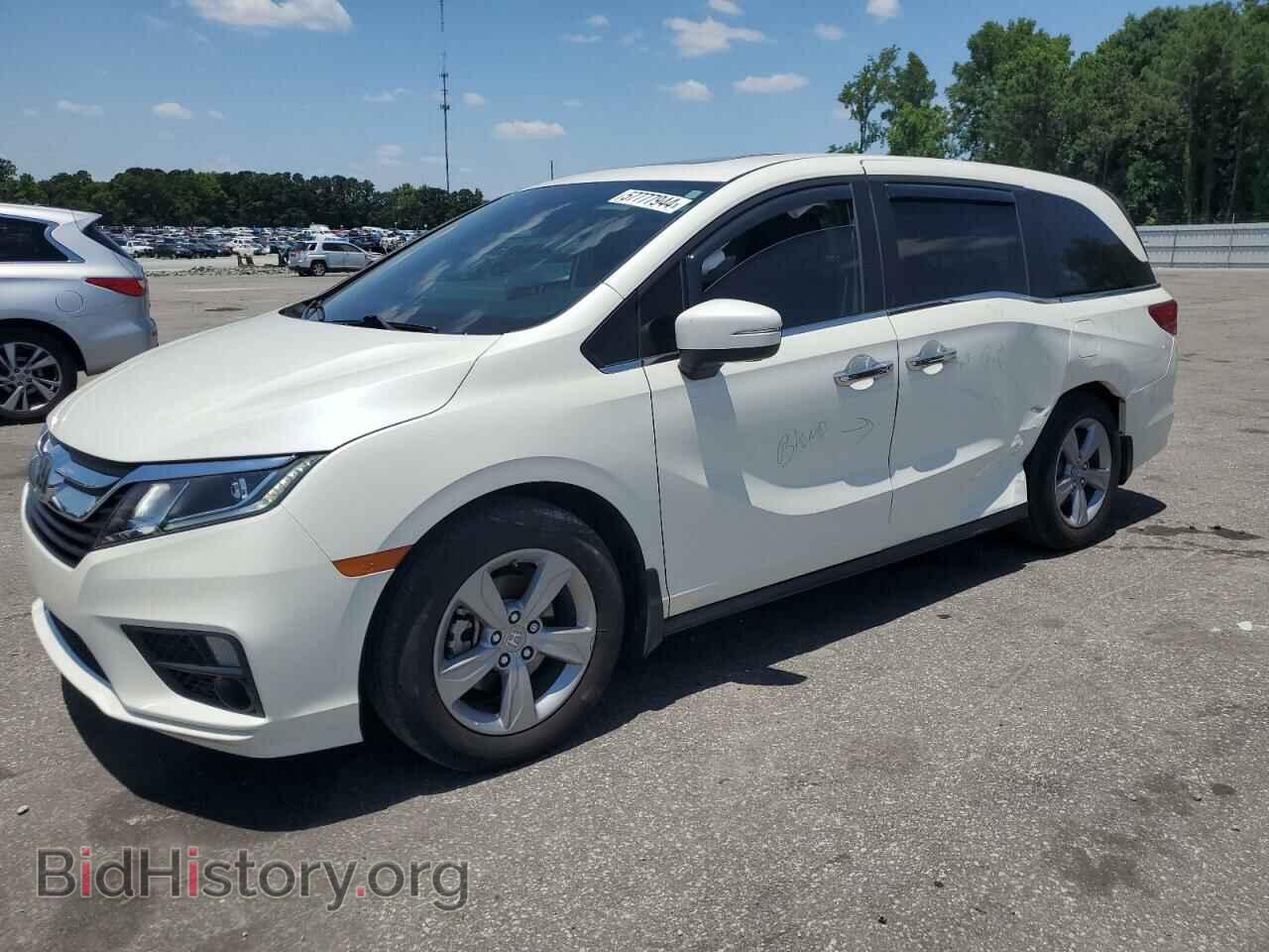 Фотография 5FNRL6H77KB079027 - HONDA All Models 2019