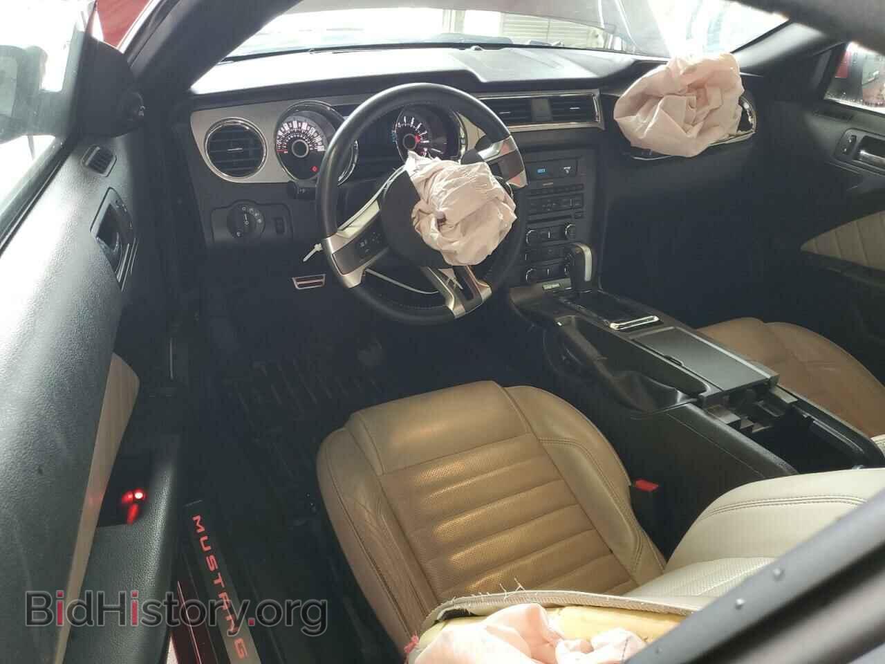 2013 FORD MUSTANG - VIN: 1ZVBP8CF7D5215285 - Фото 8
