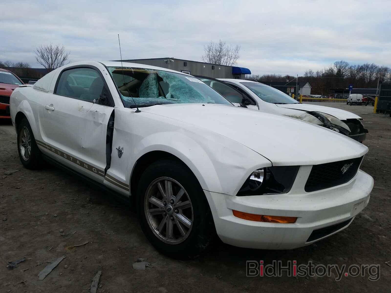 Photo 1ZVHT80NX95112046 - FORD MUSTANG 2009