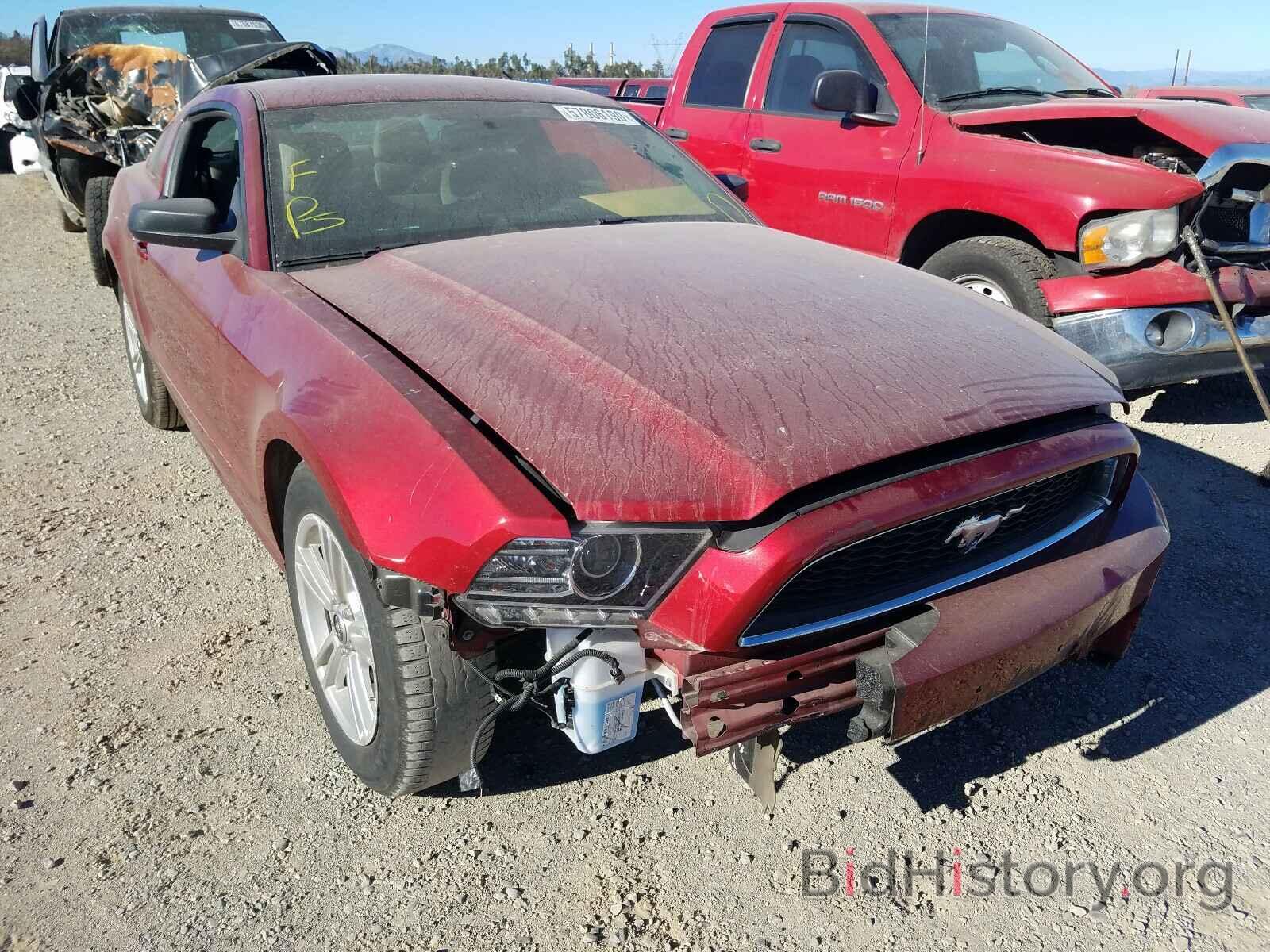 Photo 1ZVBP8AM9E5231667 - FORD MUSTANG 2014