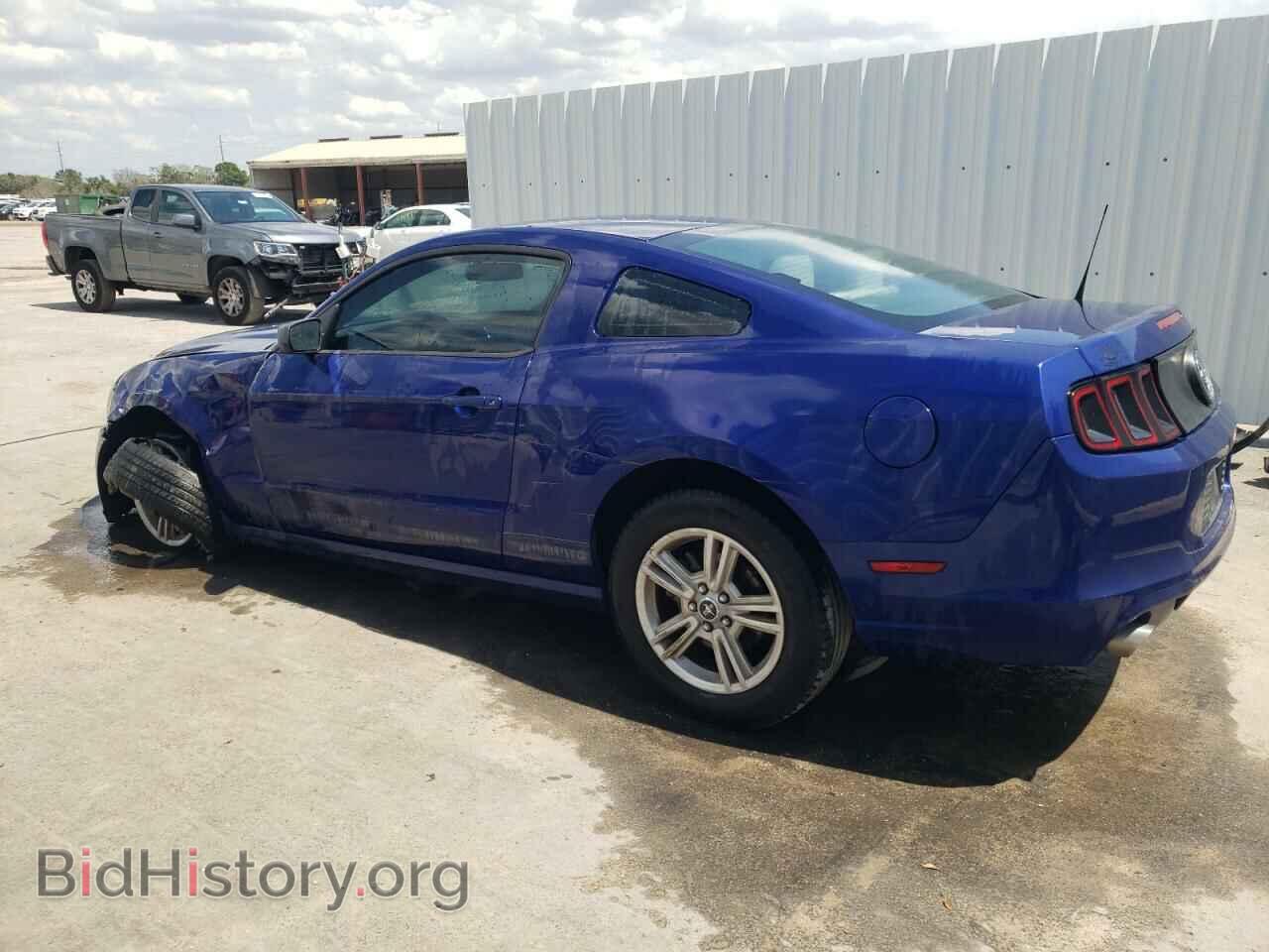 2013 FORD ALL Models - VIN: 1ZVBP8AM4D5200437 - Фото 2