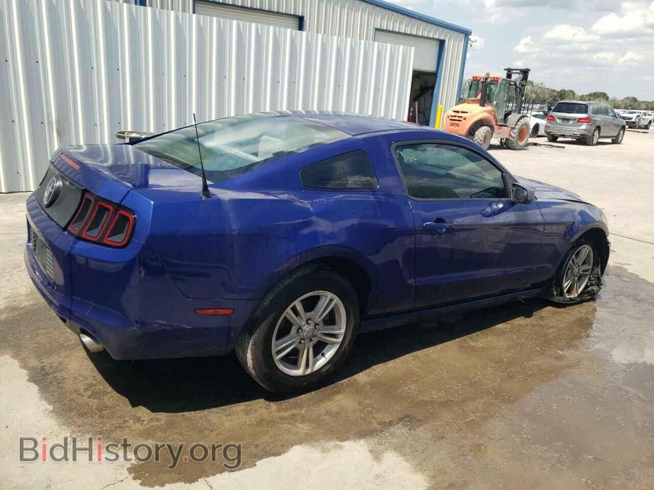 2013 FORD ALL Models - VIN: 1ZVBP8AM4D5200437 - Фото 3