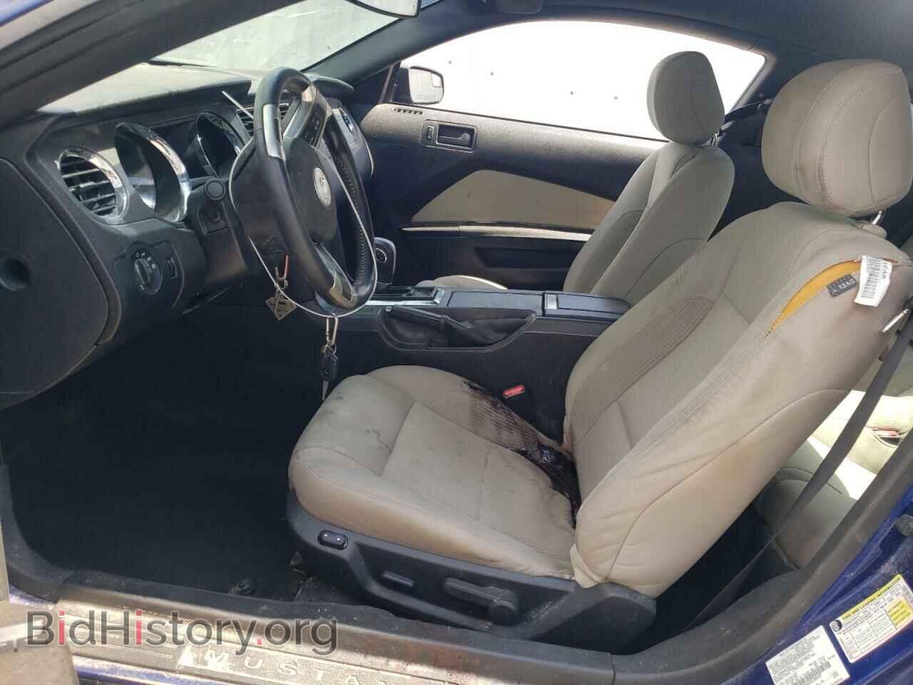 2013 FORD ALL Models - VIN: 1ZVBP8AM4D5200437 - Фото 7