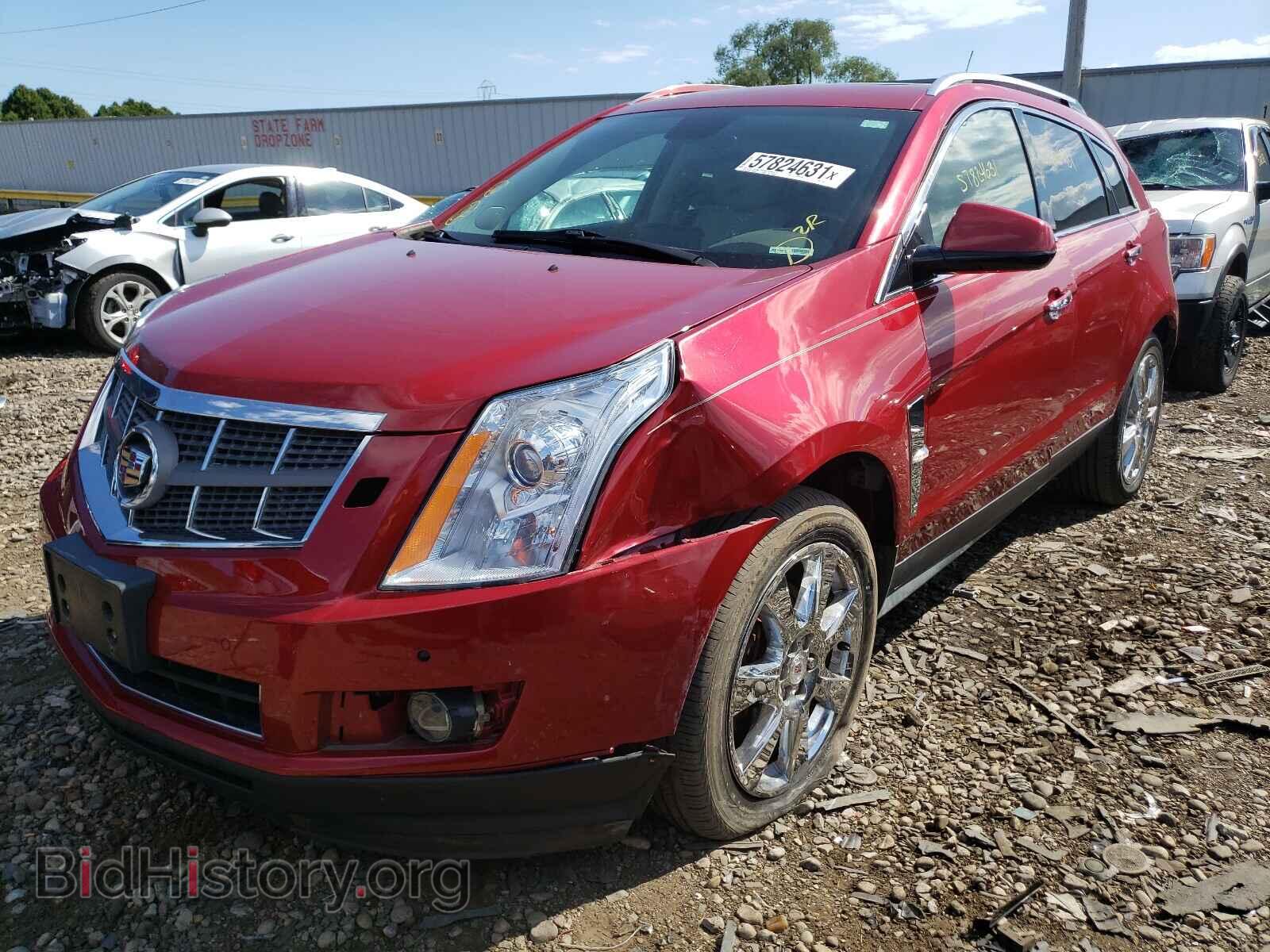 2011 CADILLAC SRX - VIN: 3GYFNBEY6BS524877 - Фото 2