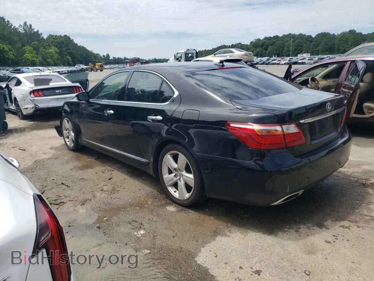 2011 LEXUS LS460 - VIN: JTHBL5EF6B5103874 - Фото 2