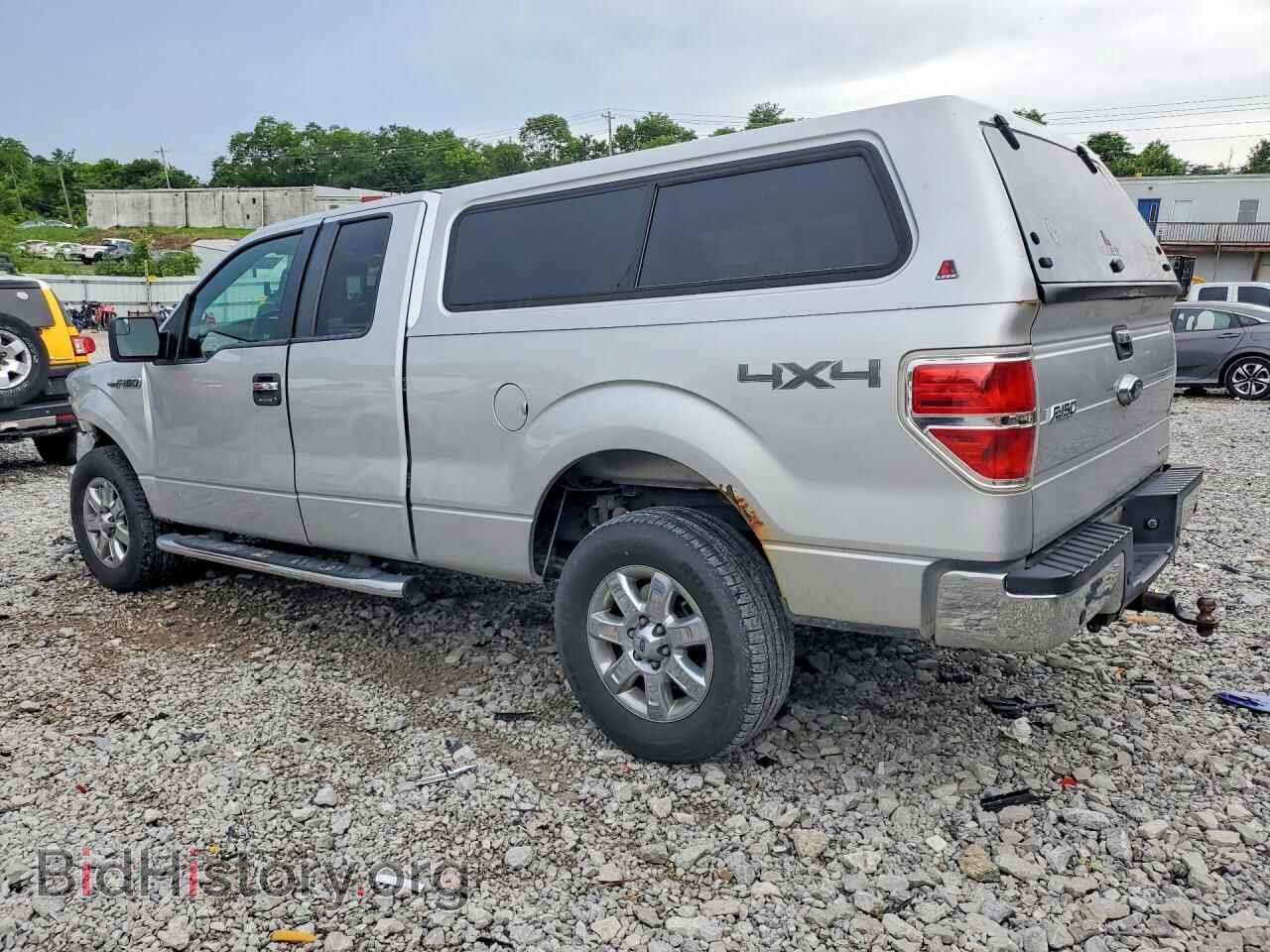 2013 FORD F150 - VIN: 1FTFX1EFXDFD98684 - Фото 2